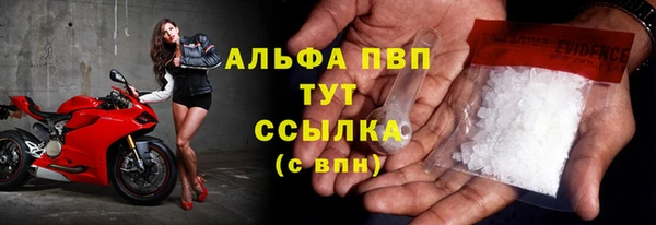 сатива Аркадак