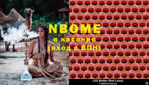 ПСИЛОЦИБИНОВЫЕ ГРИБЫ Арсеньев