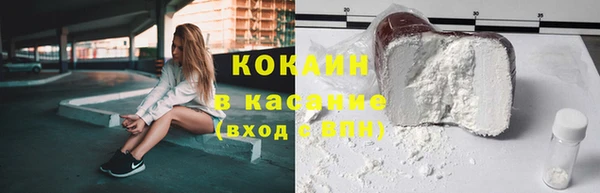 сатива Аркадак